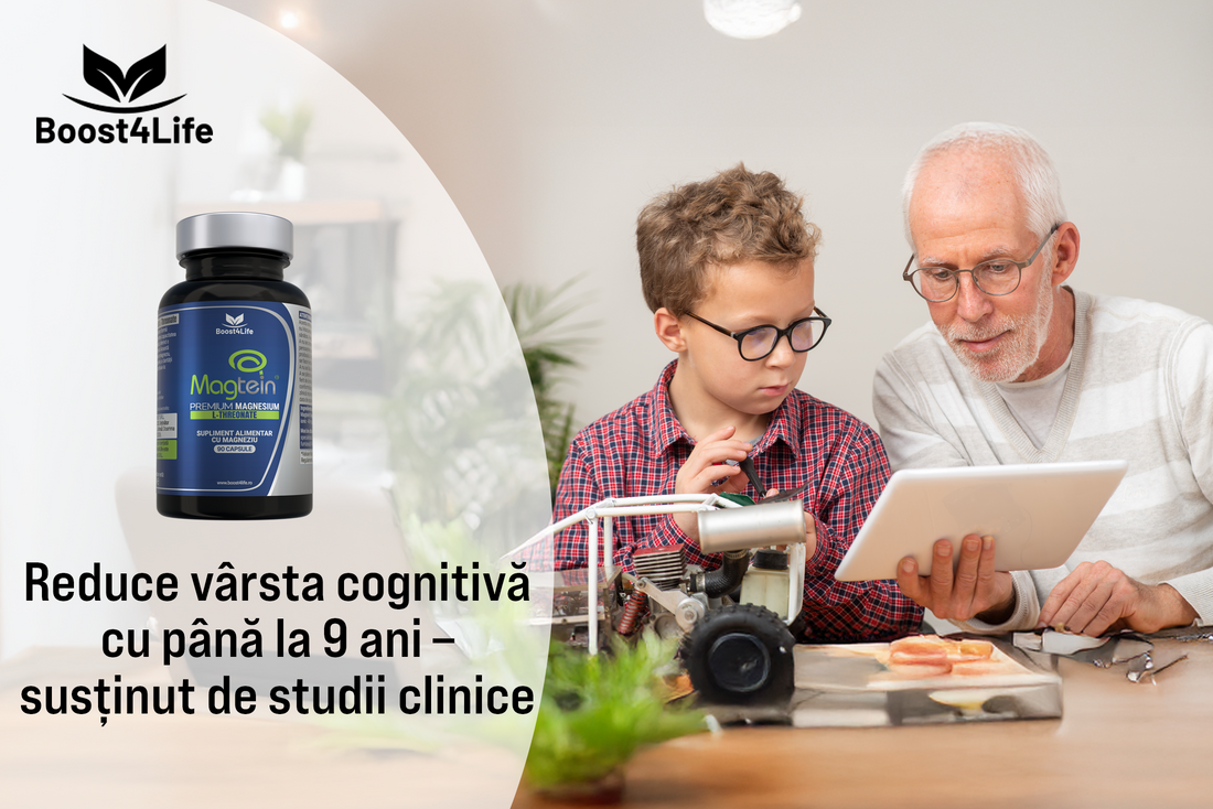Magtein® și memoria: cum îți menții creierul tânăr și atent