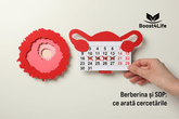 Berberina și sindromul ovarelor polichistice (SOP): ce arată cercetările despre ciclul menstrual și fertilitate