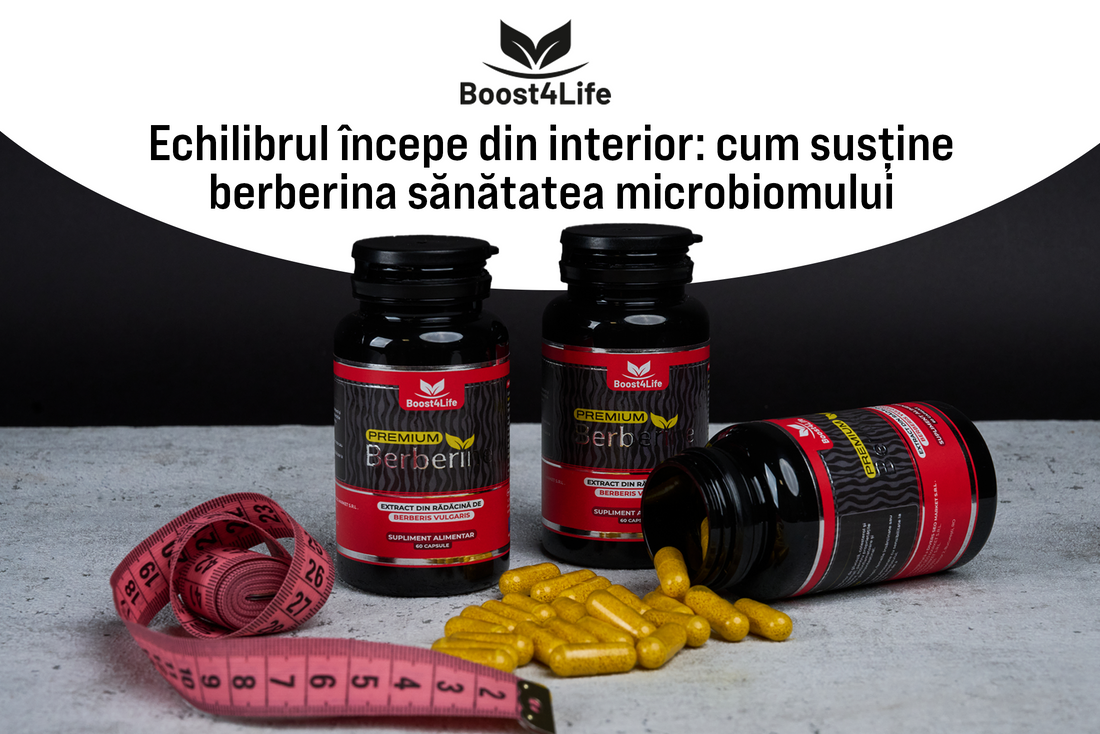Microbiom în Echilibru: Berberina și Susținerea Florei Intestinale