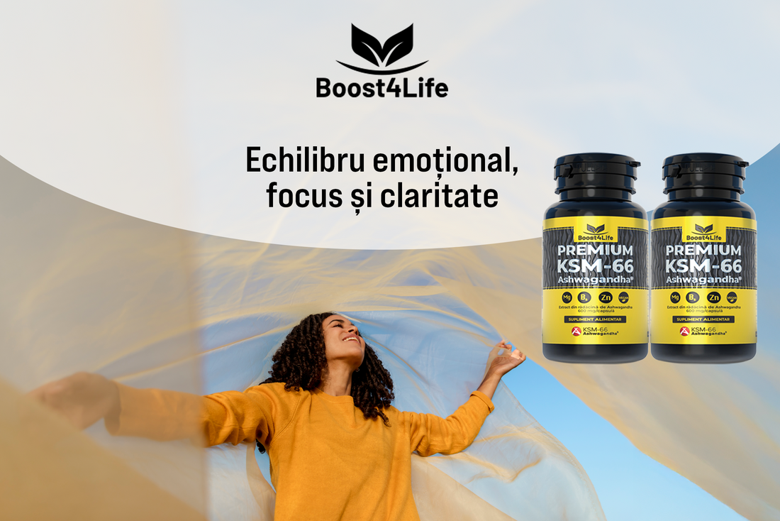 Ashwagandha KSM-66 Premium Boost4Life