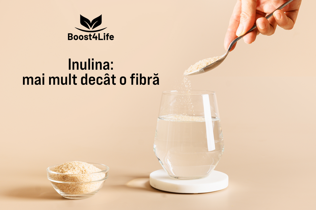 Inulina – fibra prebiotică ce susține digestia, glicemia și sațietatea