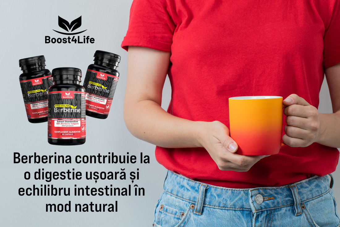 Berberina și digestia: când te poate ajuta