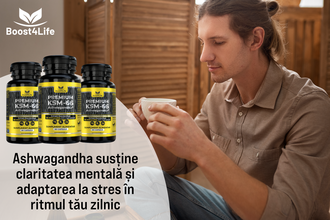 Ashwagandha în perioade aglomerate: focus și echilibru emoțional