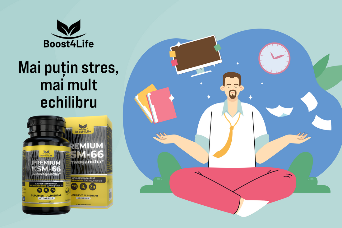 Ashwagandha KSM-66 Boost4Life sustinerea echilibrului mental