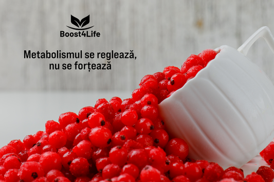 berberina și reglarea glicemiei concept metabolism energetic și echilibru metabolic