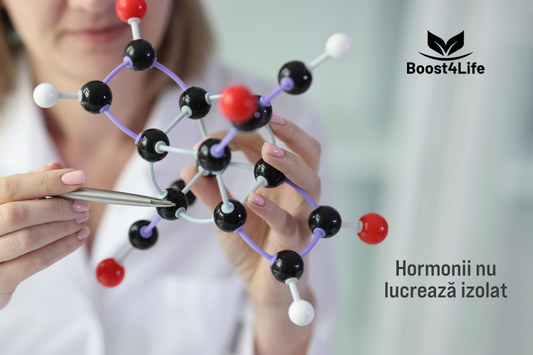 ilustrație concept ecosistem hormonal conexiunea dintre hormoni și echilibrul metabolic