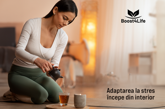 adaptare la stres echilibru mental și hormonal cu ashwagandha