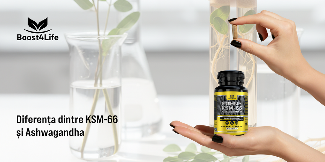  KSM-66 Ashwagandha Premium Boost4Life vs Ashwagandha generică 