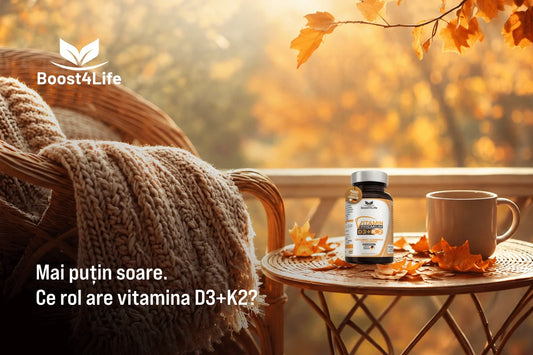 Vitamina D3+K2 Premium Boost4Life în sezonul rece