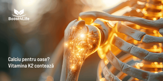 Vitamina K2 (menachinona) - vitamina liposolubilă studiată pentru rolul ei în menținerea sănătății normale a oaselor și complementaritatea cu vitamina D3. 