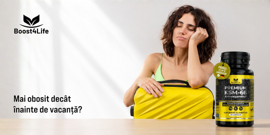 Ashwagandha KSM-66 Boost4Life - supliment adaptogen pentru susținerea revenirii din vacanță și gestionarea stresului cronic