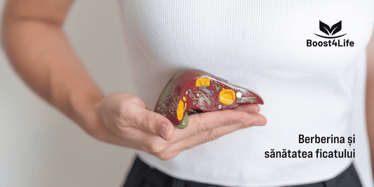 Capsule Premium Berberine Boost4Life - supliment pentru sănătatea metabolică și hepatică